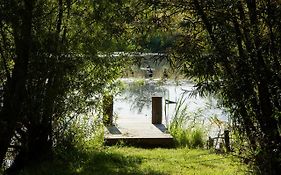 Naturnahes, neu möbl.Apartment, hundefreundlich